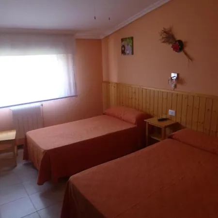 Guest house Hostal Alce 2*